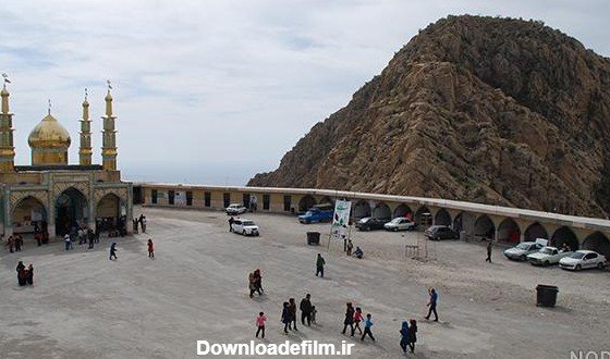  عکس های آرامش بخش کیوت