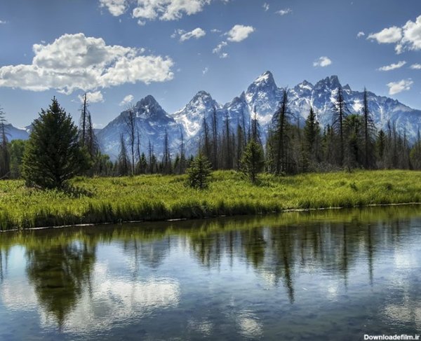  عکس های آرامش بخش کیوت