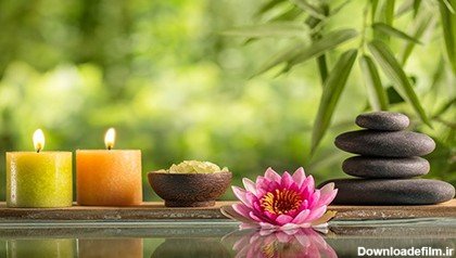  عکس های آرامش بخش کیوت