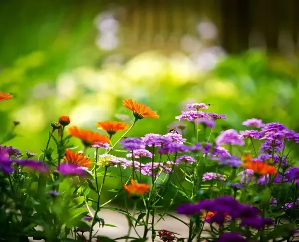  عکس های آرامشی