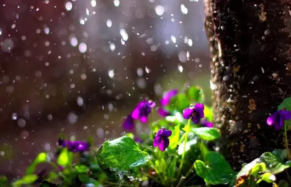  عکس های آرامشی