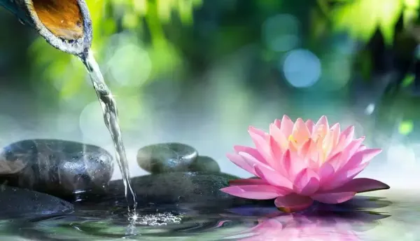  عکس های آرامشی