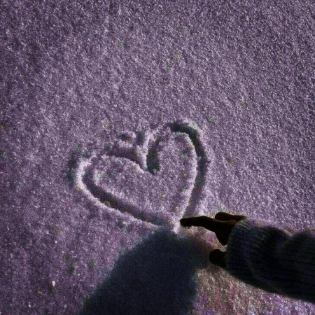  عکس های برفی