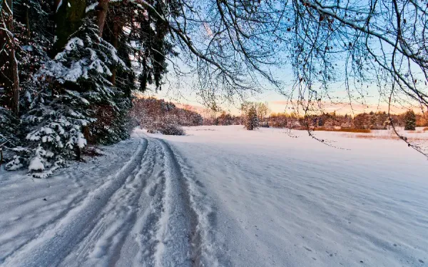  عکس های برف