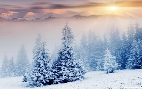  عکس برف برای پروفایل