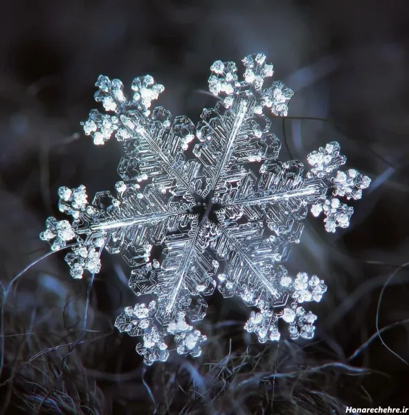  عکس برف برای پروفایل