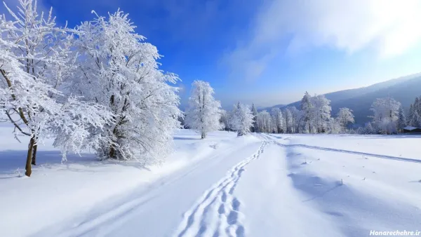  عکس دانه برف برای پروفایل