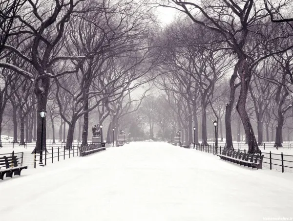  عکس دانه برف برای پروفایل