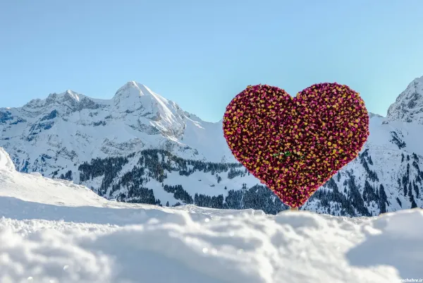  عکس دانه برف برای پروفایل