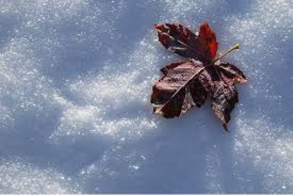  پروفایل زمستانی دخترانه اینستاگرام