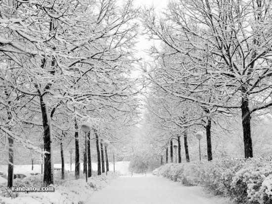  پروفایل زمستانی دخترانه اینستاگرام