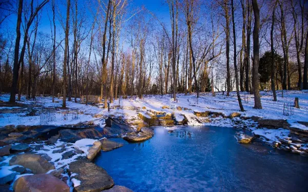 عکس زمستانی برای پروفایل