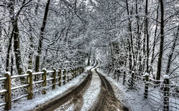  عکس زمستانی برای پروفایل