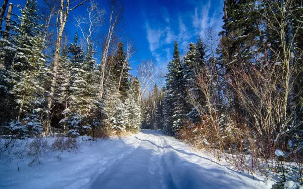  عکس زمستانی برای پروفایل