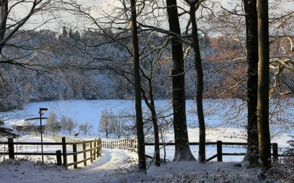  عکس زمستانی برای پروفایل