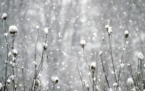  پروفایل زمستانی غمگین