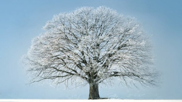 عکس زمستان با کیفیت بالا