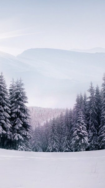  عکس زمستان با کیفیت بالا