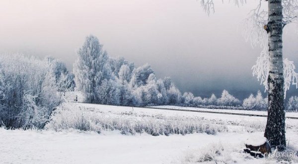  پروفایل زمستانی غمگین بدون متن