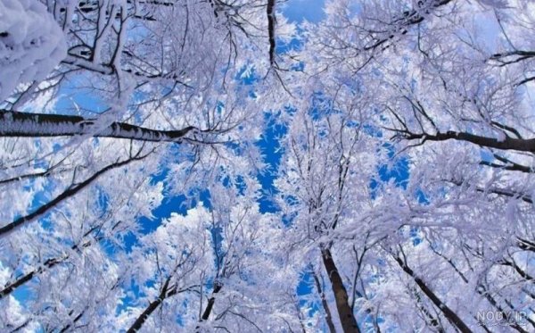  پروفایل زمستانی غمگین بدون متن