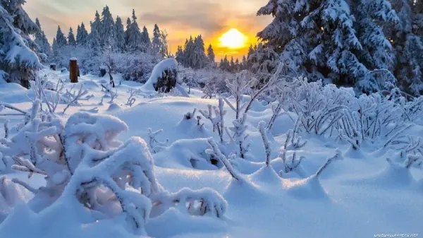 عکس پروفایل زمستان شیک