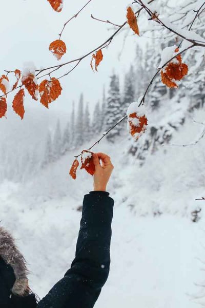  عکس پروفایل جدید امسال بدون متن زمستانی