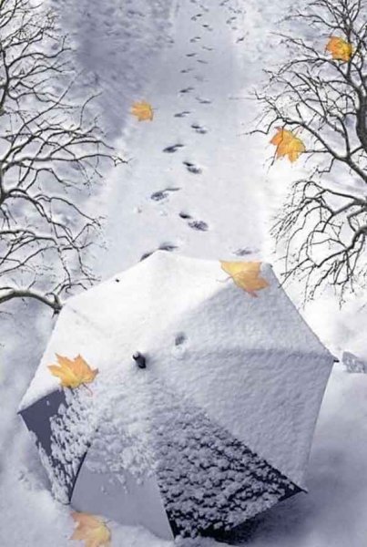  عکس پروفایل جدید امسال بدون متن زمستانی