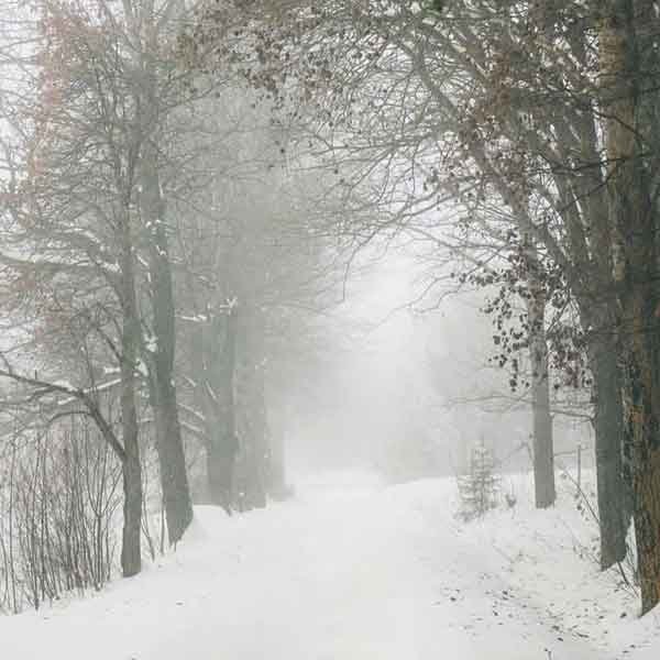  عکس پروفایل جدید امسال بدون متن زمستانی