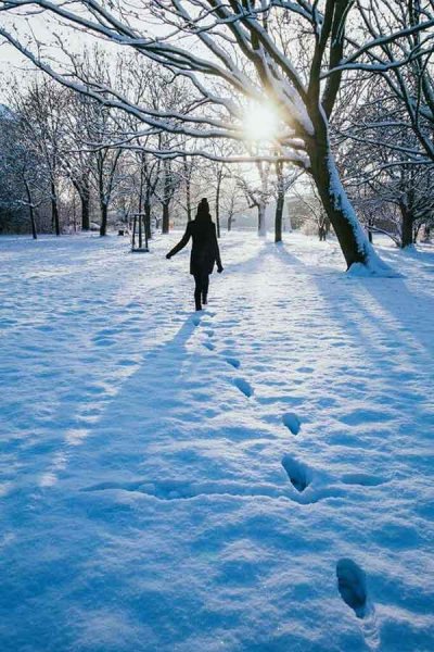  عکس پروفایل جدید امسال بدون متن زمستانی