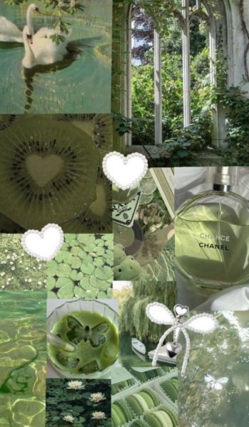  عكس آرامش بخش