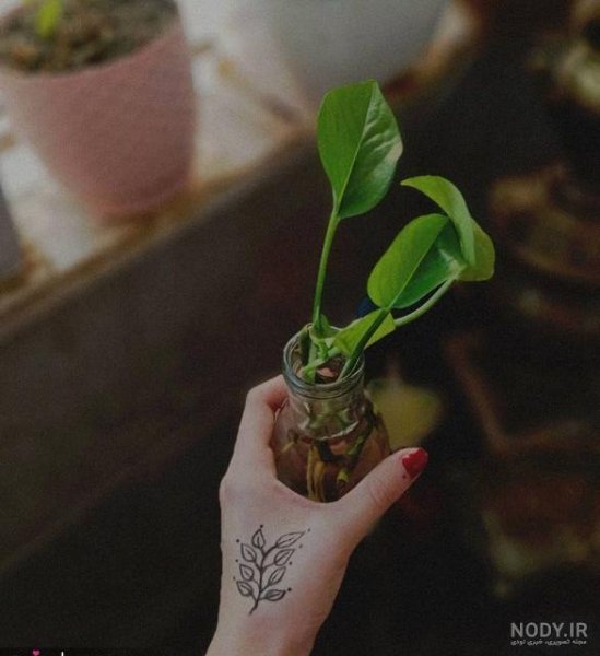  عکس آرامش بخش بدون متن