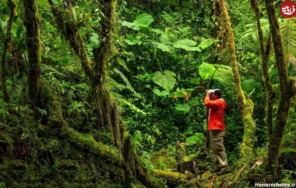 تصویر های آرامش بخش