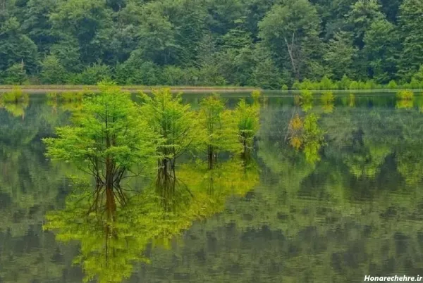  تصویر های آرامش بخش