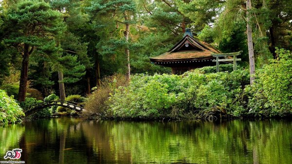  عکسهای آرامش بخش از طبیعت