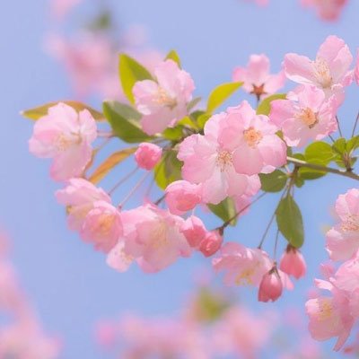 عکس زیبای طبیعت