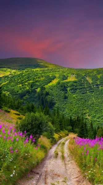  عکس های جالب و آرامش بخش از طبیعت