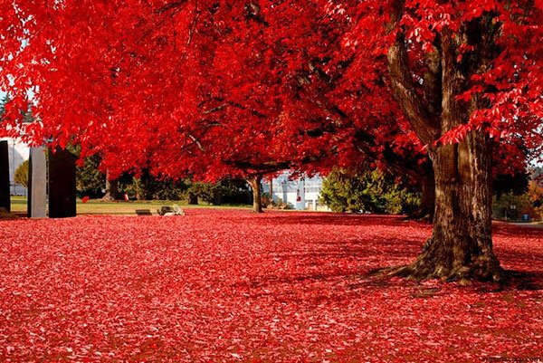  تصاویر دیدنی از طبیعت