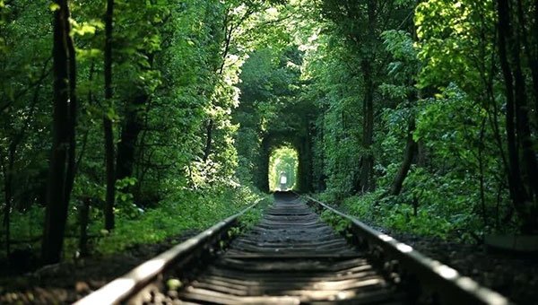  تصاویر دیدنی از طبیعت