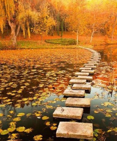  عکس طبیعت زیبا و دلنشین