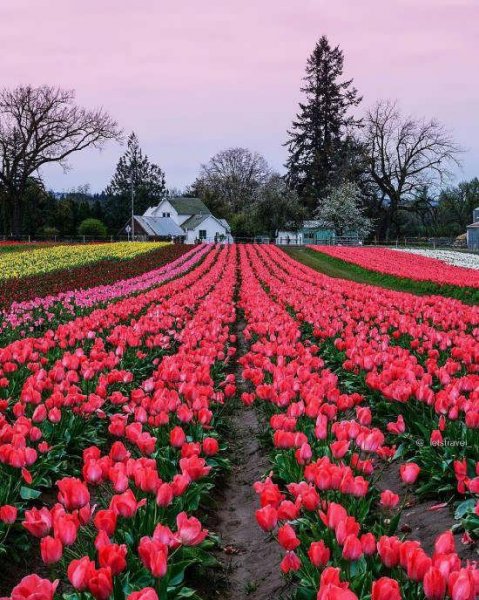  عکس طبیعت زیبا و دلنشین