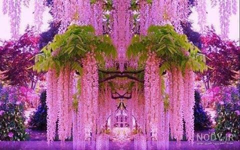  عکس طبیعت رویایی