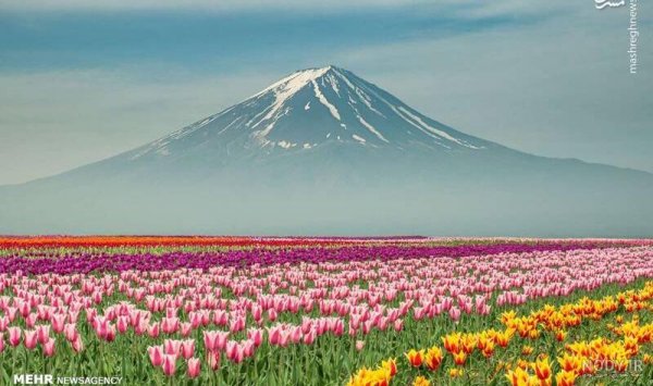  عکس طبیعت رویایی