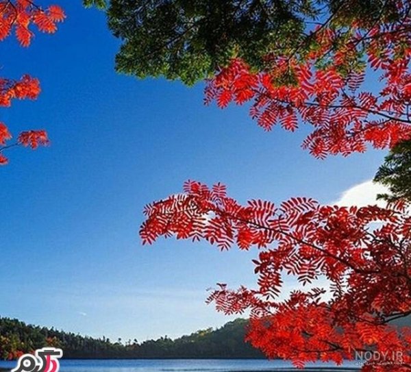  عکس طبیعت رویایی