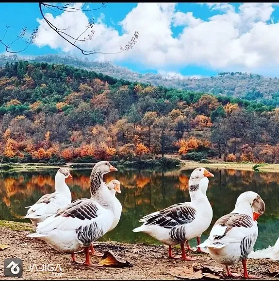  عکس طبیعت دریاچه