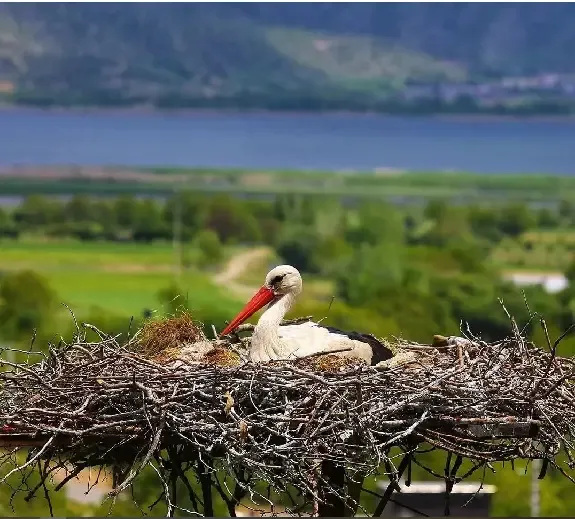  عکس طبیعت دریاچه