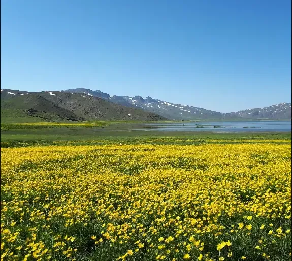  عکس طبیعت دریاچه