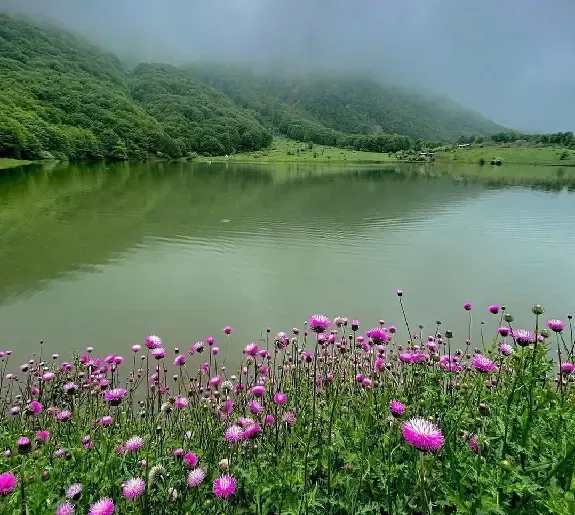  عکس طبیعت دریاچه