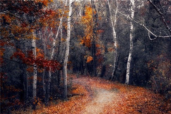  مناظر پاییزی زیبا