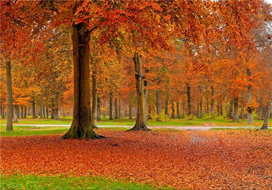  مناظر پاییزی زیبا