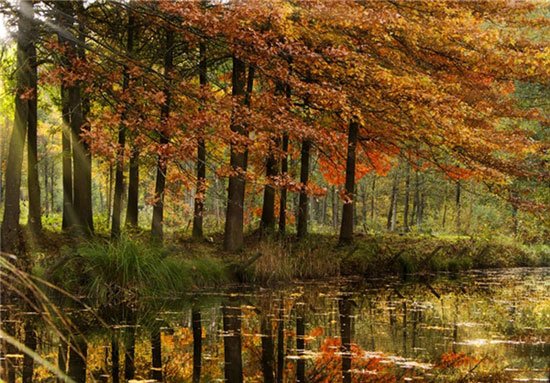  مناظر پاییزی زیبا